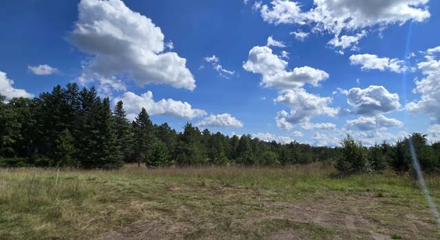 Photo of Tract D State Highway 84 SW, Pine River, MN 56474