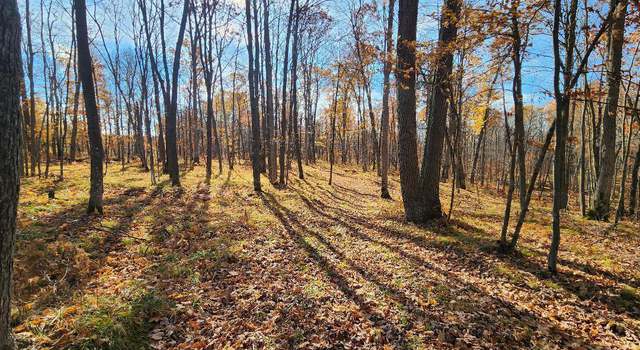 Photo of XX Timberland Rd, Roosevelt Twp, WI 54813