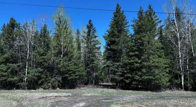 Photo of TBD Town Road 286, International Falls, MN 56649