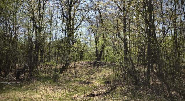 Photo of 9953 Riverbed Rd, Royalton Twp, MN 55063