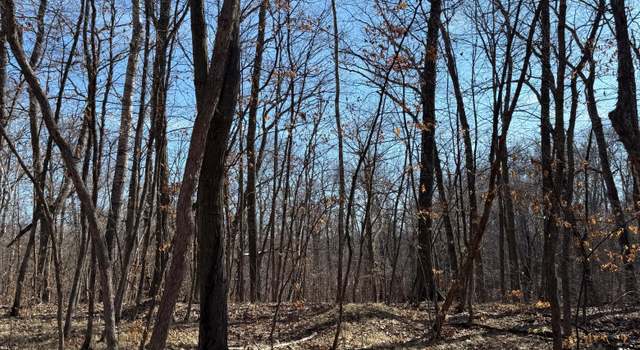 Photo of XXX Big Stone Pass, Cushing, MN 56475