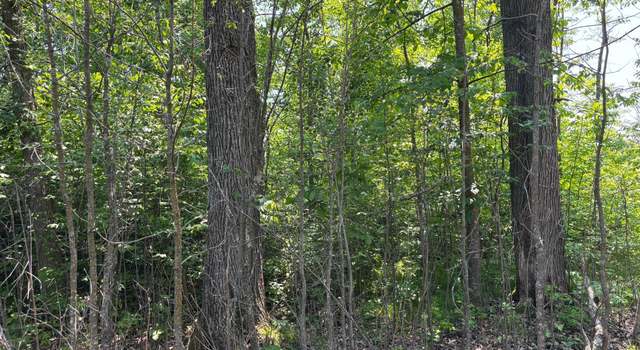 Photo of TBD 370th Ln, Mcgregor, MN 55760
