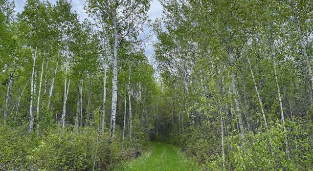 Photo of 11000 Cr64, Mizpah, MN 56660