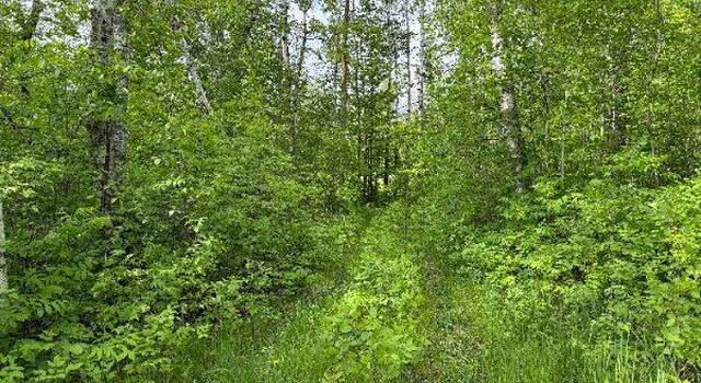 Photo of TBD Co Rd 141, Detroit Lakes, MN 56501