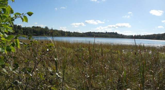 Photo of TBD County 118 Rd NW, Backus, MN 56435