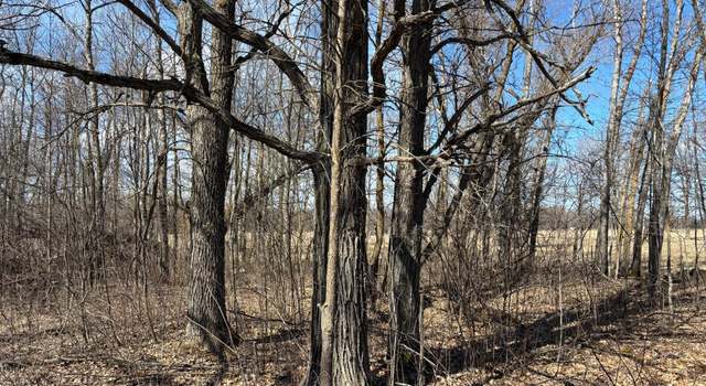 Photo of XXXX Hwy 169, Palisade, MN 56469
