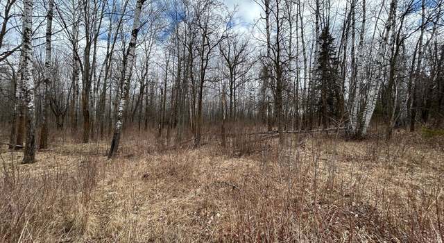 Photo of TBD 48th Ave, Pine River, MN 56474