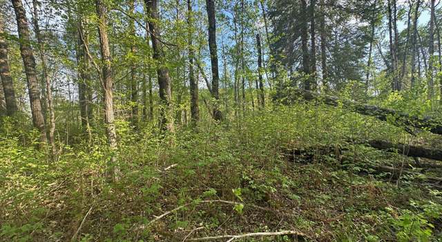 Photo of 2045 County 47 NE, Blind Lake Twp, MN 56655