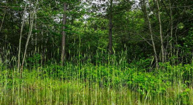 Photo of L8B2 Sanctuary Ln, Brainerd, MN 56401