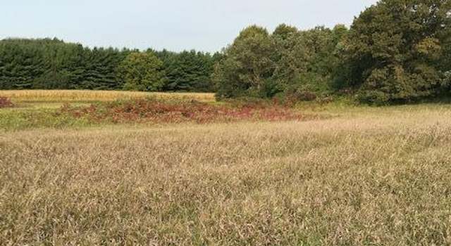 Photo of xxxx Pine Bluff (site13) Rd NW, New Haven Township, MN 55963