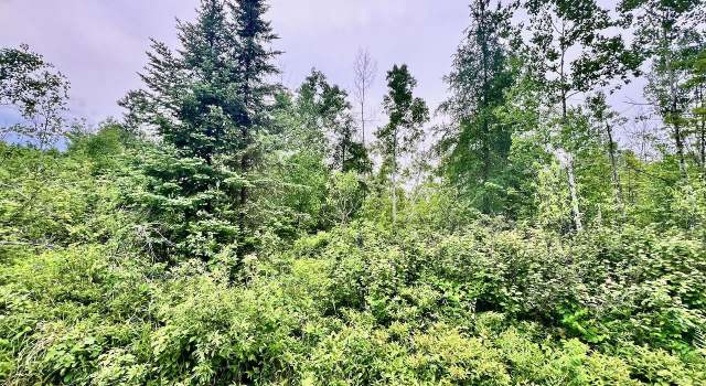 Photo of TBD Shuster Rd, Portage Township, MN 55771