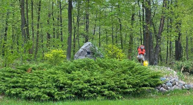 Photo of LOT 19 Bear Tract Ln NE, Longville, MN 56655
