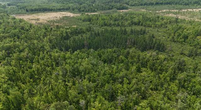 Photo of TBD Speckled Trout Rd, Sandstone, MN 55072