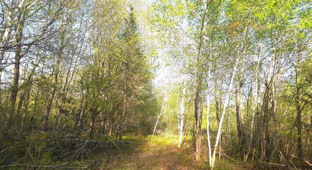 Photo of 000 Starch Rd, Bruno, MN 55712