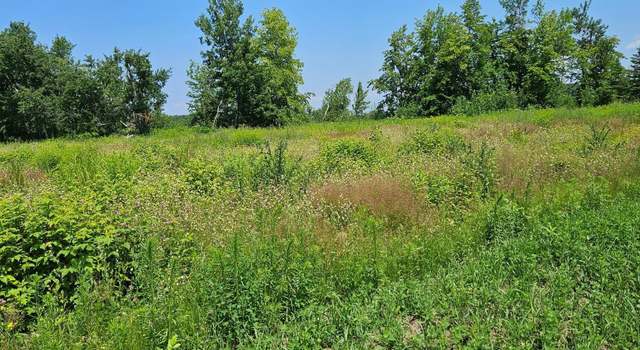 Photo of tbd Hooper Creek Loop, Baudette, MN 56623
