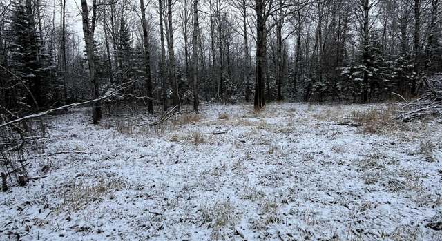 Photo of TBD Pinewood Ln NW, Angle Inlet, MN 56711