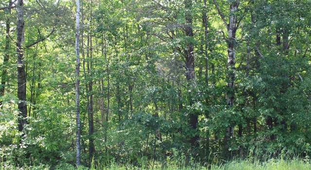 Photo of TBD Centerline Rd NW, Solway, MN 56678
