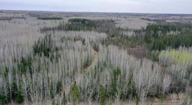 Photo of TBD Sethers Rd, Orr, MN 55771