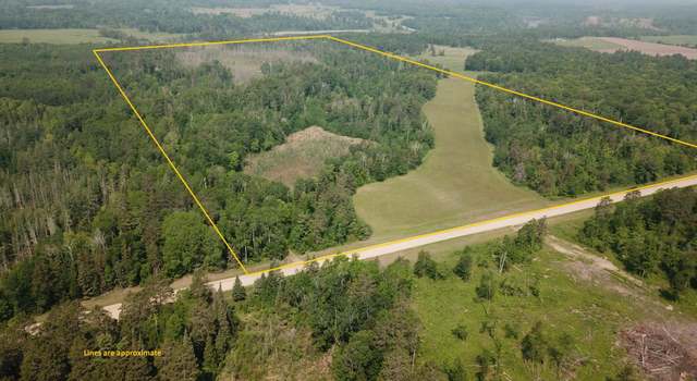 Photo of 31519 243rd Ave, Moose Creek Twp, MN 56676
