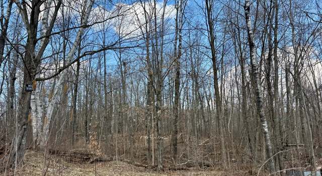 Photo of 1XX Estates Rd, Bruno Twp, MN 55756