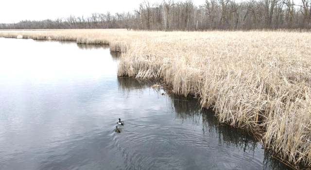 Photo of PARCEL TBD 250th St, Mahnomen, MN 56557