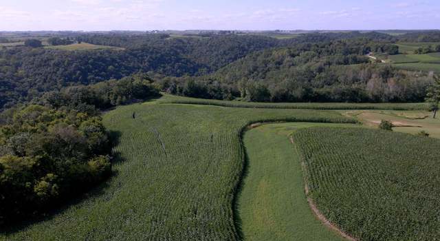 Photo of XXX Crazy Corners Rd, Mayville Twp, MN 55921