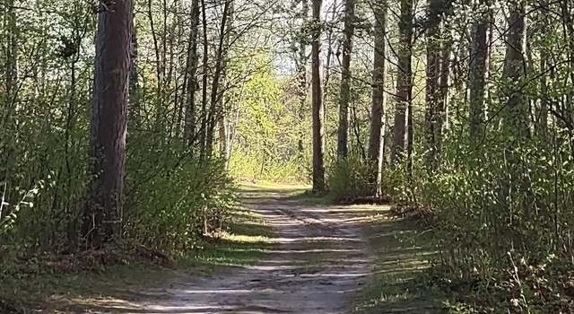 Photo of 1343 Indian Point Trl NW, Ponto Lake Twp, MN 56474