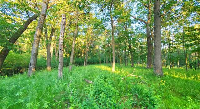 Photo of XXX Lot 3 Chestnut St, Marine On Saint Croix, MN 55047