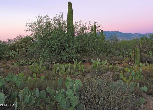Property at 11876 N Vista Del Sol #21, Oro Valley, AZ 85742