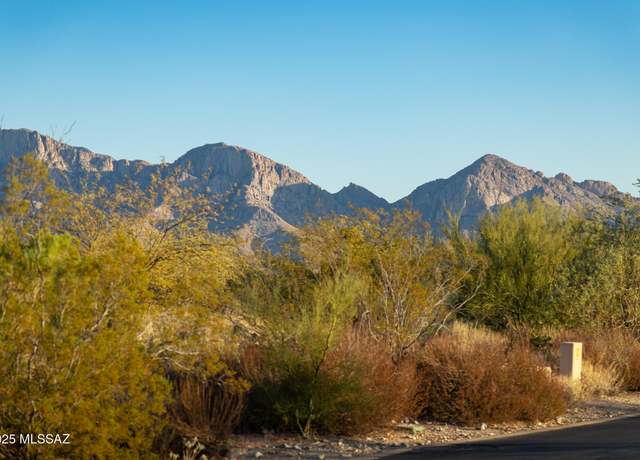 Property at 14191 N Giant Saguaro Pl, Oro Valley, AZ 85755
