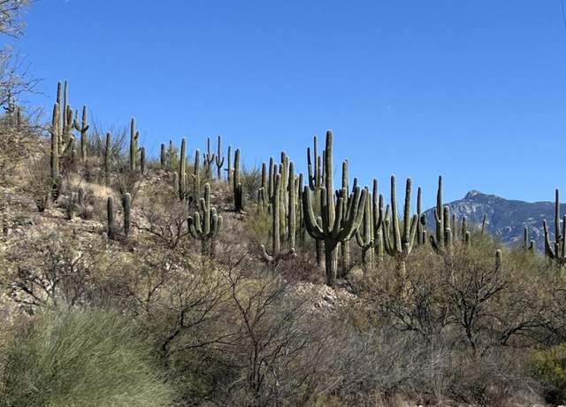 Property at 15175 E Rincon Creek Ranch Rd, Tucson, AZ 85747