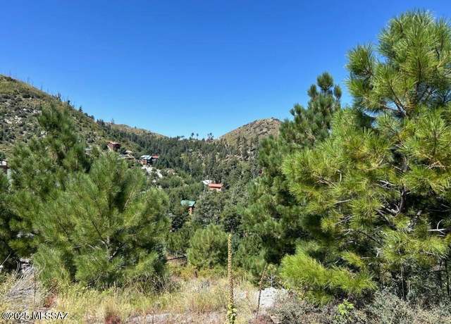 Property at 12802 N Ray Ave Unit 12/17, Mt. Lemmon, AZ 85619