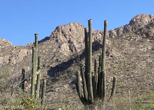 Property at 2134 E Desert Garden Dr #288, Tucson, AZ 85718