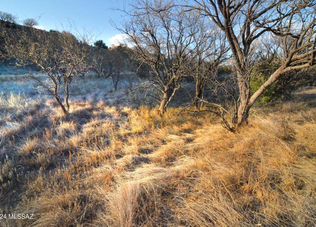 Property at Lot  D2 Stevens Canyon Rd #2, Patagonia, AZ 85624