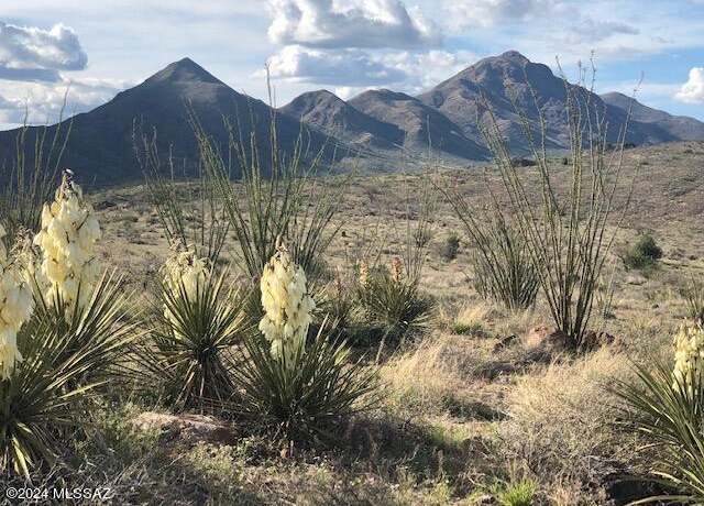 Property at TBD Perezoso Ct Unit 71/2, Rio Rico, AZ 85648