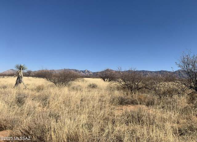 Property at TBD S De Niza #48, St. David, AZ 85630