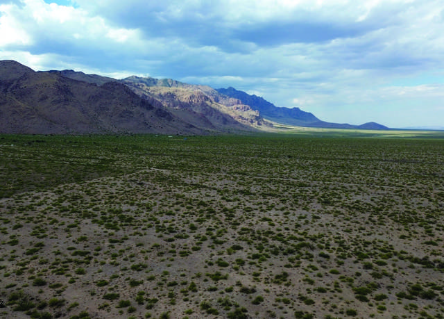 Property at 37.57 AC E Sunrise Rd #0, San Simon, AZ 85632