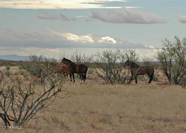 Property at 0 N Horvatin Ln #0, Mc Neal, AZ 85617