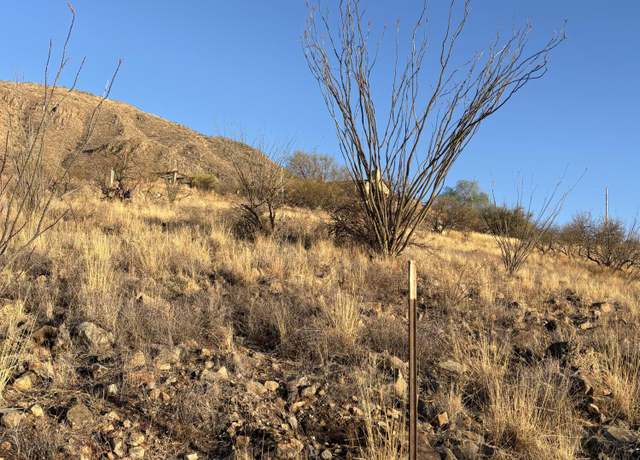 Property at 1779 Via Mazatlan #20, Rio Rico, AZ 85648