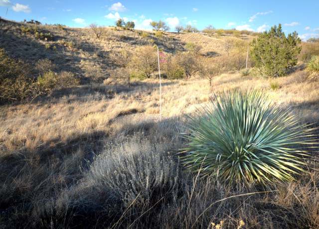 Property at Lot 9 Tanglehead Ln Unit ., Patagonia, AZ 85624