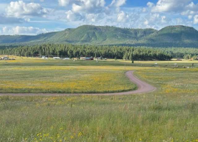 Property at Lot 32 The Ranch At Alpine #32, Alpine, AZ 85920