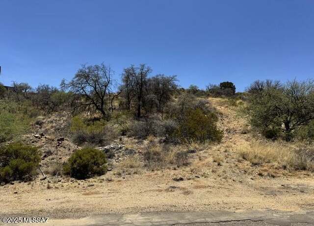 Property at N Calle Futura (parcel 1) #1, Oracle, AZ 85623