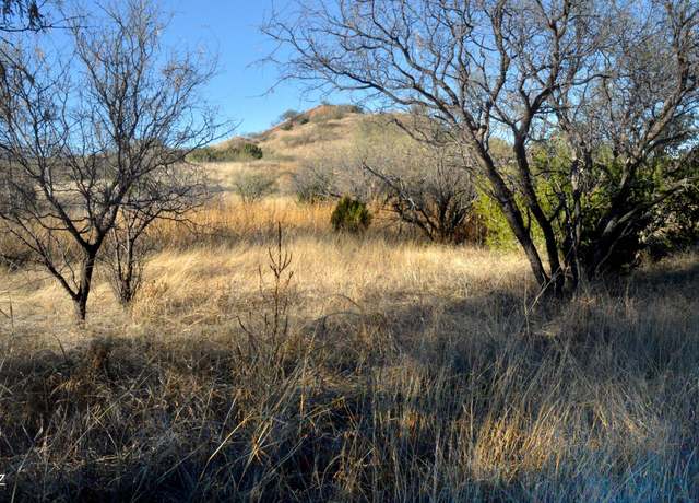 Property at 166 Tanglehead Ln #40, Patagonia, AZ 85624