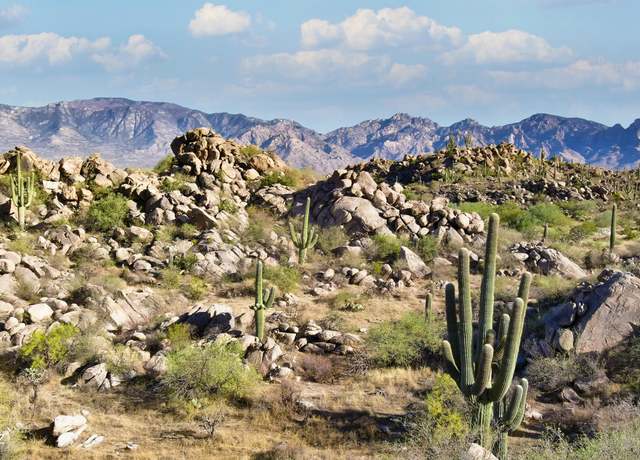 Property at 1481 W Tortolita Mountain Cir Lot 281, Oro Valley, AZ 85755