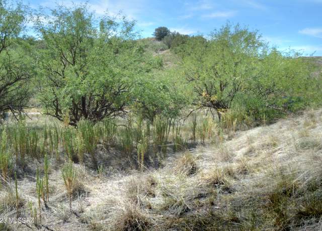 Property at 190 Tanglehead Ln Lot 25, Patagonia, AZ 85624