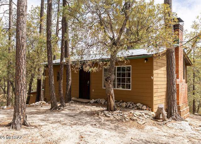 Property at 9813 S Willow Cyn, Mt. Lemmon, AZ 85619, 1 bed