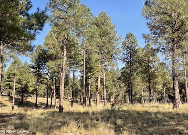 Property at 7337 Forest Road 122 Unit 1B, Flagstaff, AZ 86024