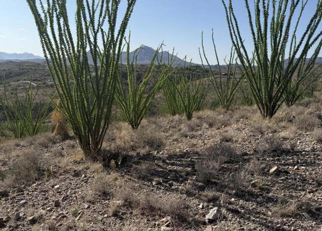Property at 467 Brizza Bonell #41, Rio Rico, AZ 85648