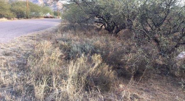 Photo of 62 Circulo Verdugo #6, Rio Rico, AZ 85648