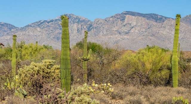 Photo of 11462 N Moon Ranch Pl, Marana, AZ 85658